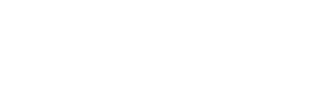 Visions and Reflections